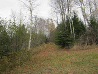 eaglesnest2